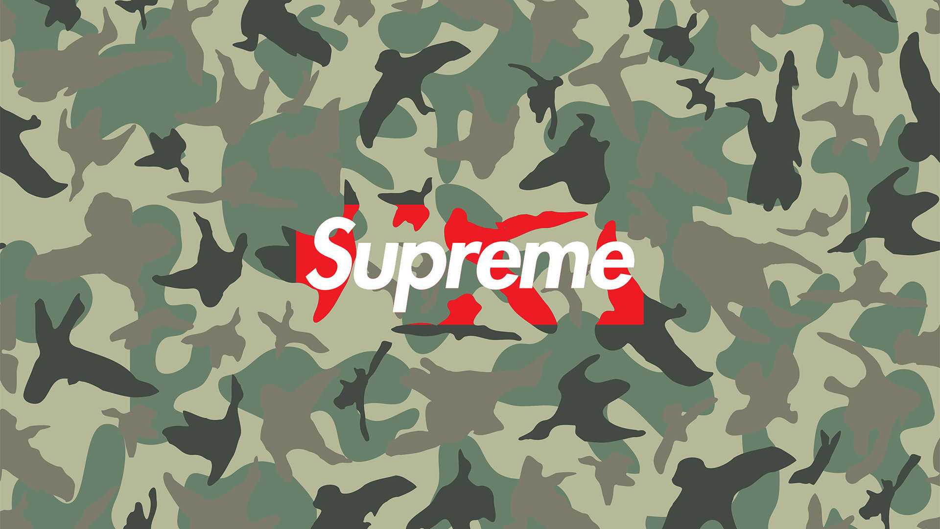 Supreme Camo