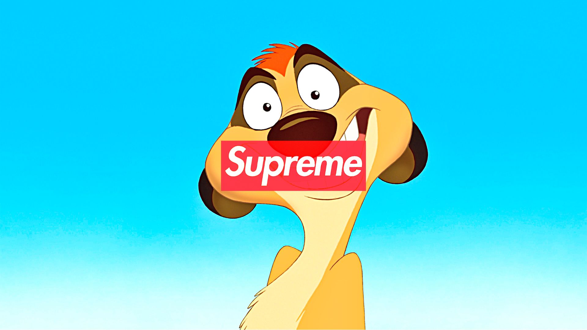 Supreme Cartoon 2